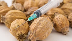 На столе лежит опийный мак и шприц